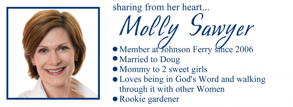 Molly Sawyer bio