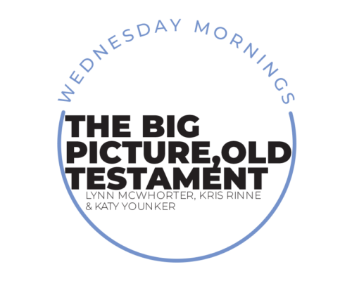 The Big Picture, Old Testament (Chronicles – Malachi)